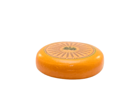Saltless cheese Saltless cheese