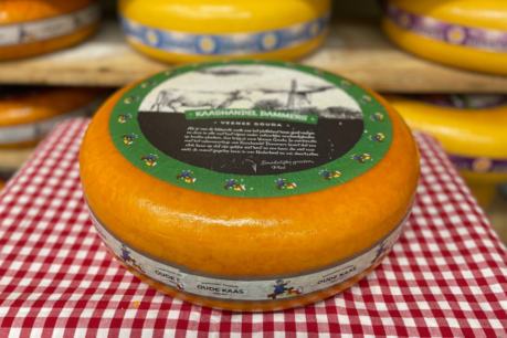Old cheese discount package Old cheese discount package
