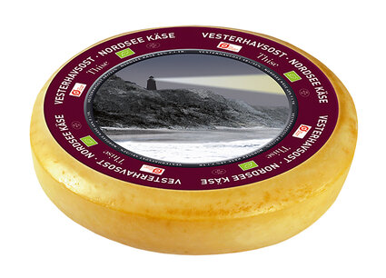 North Sea cheese North Sea cheese