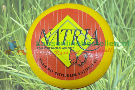 Saltless cheese Saltless cheese